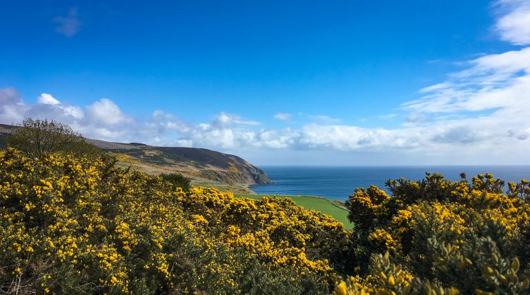 John o'Groats Trail - Tag 10 - Wandertag in Helmsdale - Strampelpfade