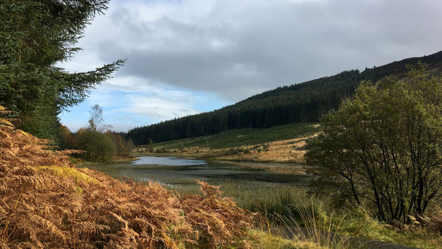 Rob Roy Way nach Callander über die Menteith Hills Strampelpfade